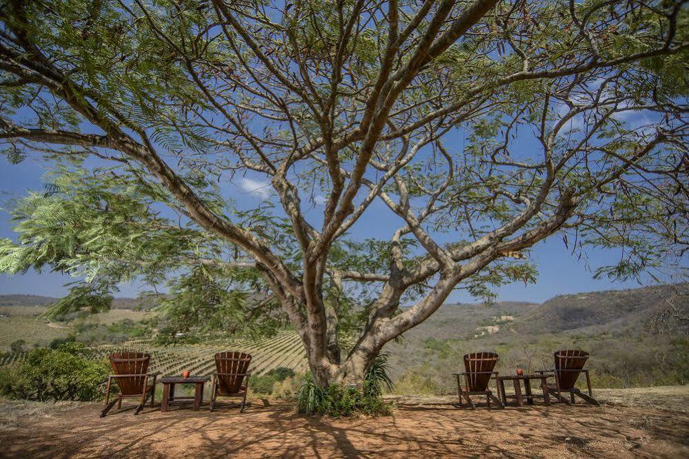 Abangane Guest Lodge Hazyview Exterior foto
