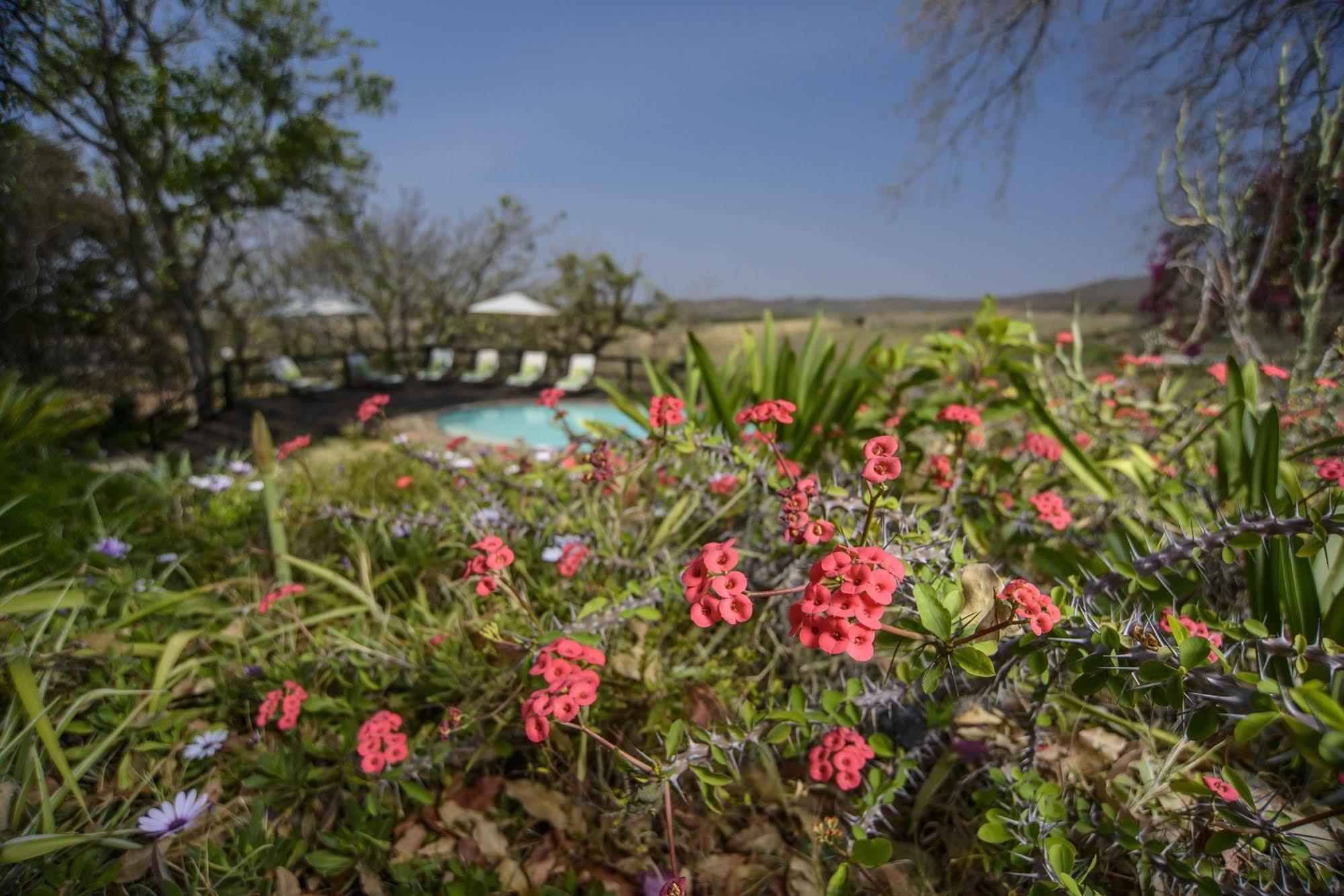 Abangane Guest Lodge Hazyview Exterior foto