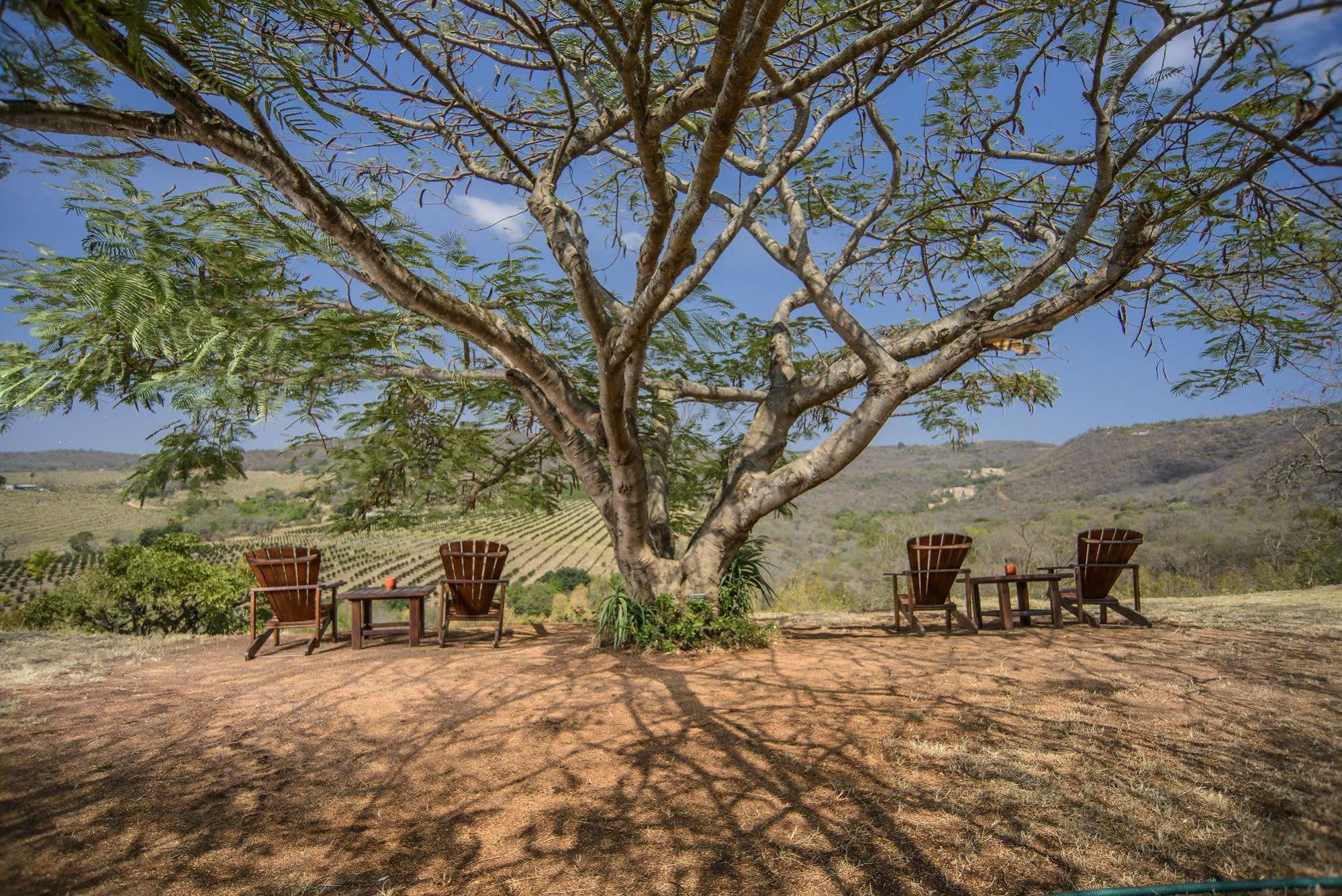Abangane Guest Lodge Hazyview Exterior foto